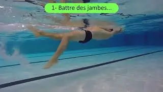 Thème 4: Débuter en Dos