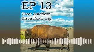 The Dear Bob and Sue Podcast: EP 13 Great American Bison Road Trip - Full Episode