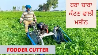FODDER HARVESTING MACHINE |AULAKH DAIRY FARM | RAMPURA PHUL |BATHINDA|PUNJAB|