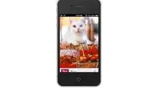How to Use Pinterest on iPhone