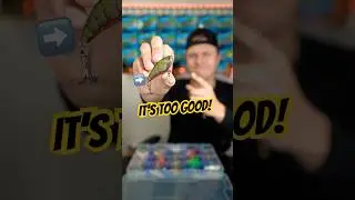 Lipless Crankbaits CRUSH Spring Bass&hellip; But Why? 👀🎣 #fishing