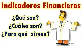 Indicadores Financieros | Guia - Resumen