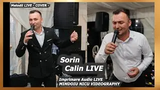 Sorin Calin - Cele Mai Bune Melodii de Nuntă 2024 - Hituri Populare de Neuitat(Cover) Hore de Joc
