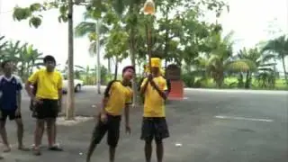 Sarang Tebuan