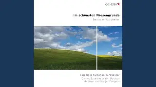 Im sch&ouml;nsten Wiesengrunde (Arr. S. K&ouml;nig for Voice & Orchestra)