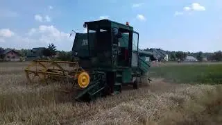Żniwa 2022/volvo activa 1130 i ursus c360/🔥🚜