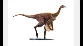Dinosaurs Rativates 🦖🦕. 