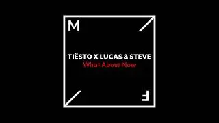 Ti&euml;sto X Lucas & Steve - ID (What About Now)