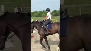 Who has time to clear the ring? 😂 #horse #dressage #eventer #eventing #funny #horsegirl