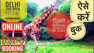 Online Ticket Booking Process Delhi Zoo | ऐसे बुक करें टिकट दिल्ली ज़ू /चिड़ियाघर | zoo ticket price