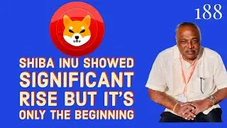 SHIBA INU (SHIB) AS INVESTOR SENTIMENT BOOMS || IN TAMIL #youtubeshorts #binance #bitcoin #shibainu