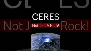 Did Life Hide on Ceres?