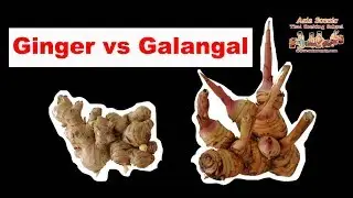 Ginger Galangal Thai Ginger  : How different | Asia Scenic Thai Cooking School Chiang Mai Thailand