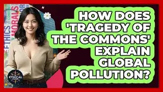 How Does 'tragedy Of The Commons' Explain Global Pollution? - The Ethical Compass