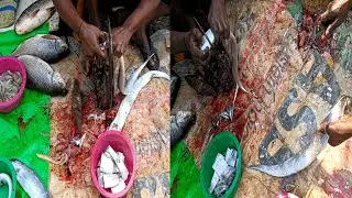 Big Sita Bati Fish Cutting Skills Live In Kolkata local Fish Market।।Expert Fish Cutter In Kolkata💯