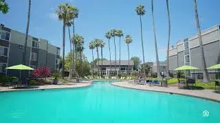 Summer House Luxury Apartments in Alameda, CA