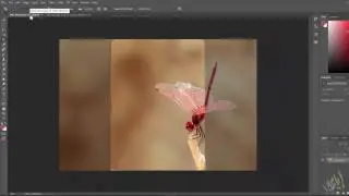 Edit Image Dimensions Ratio