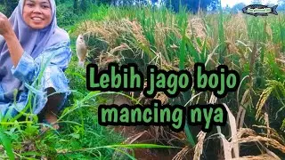 spot idaman jarang di pancingi ll microfishing 
