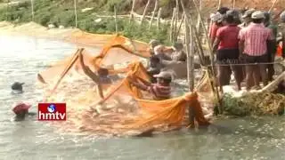 Soil Health Card Introduction - Fish Farming | Vegetable Gardening Techniques | Nela Talli | HMTV