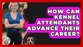 How Can Kennel Attendants Advance Their Career? - Animal Care Jobs