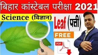 Bihar Police Science Questions | GS Bihar police | Science Bihar Police | science leaf structure|