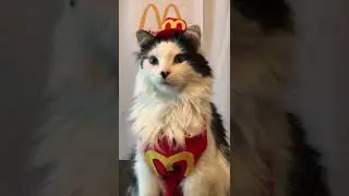 Order up!
