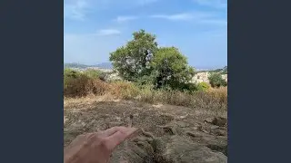 glass pulse