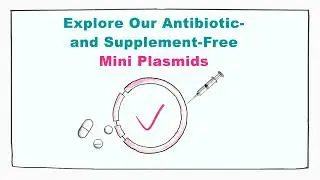 Improving Gene Therapy Safety with Antibiotic- and Supplement-Free Mini Plasmids