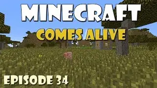 Minecraft Comes Alive TRAIN Edition &mdash; Эпизод 34 | Строим кондитерскую!