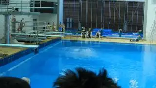 1m Springertag Offene klasse in Aachen