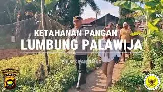sinergitas polri dalam mendukung ketahanan pangan lumbung palawija#shorts