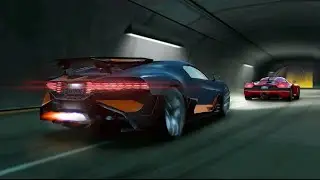 Stop speeding up you killed an innocent animal 