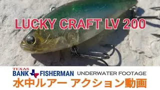 #LUCKYCRAFT＃ラッキークラフト＃LV200 #水中ルアー動画 [ UNDERWATER FOOTAGE ] ラッキークラフト LV200  水中ルアーアクション動画