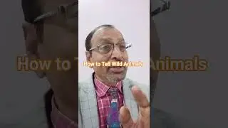 How to Tell Wild Animals (Carolyn Wells)#shorts