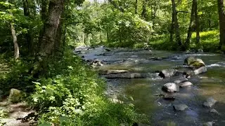 Ronov nad Doubravou