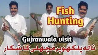 Gujranwala visit | Nala Palkhu Wazir Abad | Fishing | Fish Hunting | Fish Catching | Soul Fish | فش