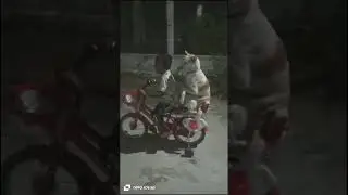 Achoo jacky paiyaaa🤣😍💚 #blacky #jacky #dogfunnyshorts #erode #tamildogshorts #dogfunnyvideos #dog