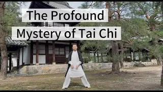 The wonders of Tai Chi &ndash; a benefit for both beginners and advanced learners.