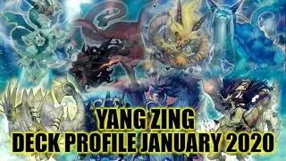 YANG ZING DECK PROFILE (JANUARY 2020) YUGIOH!
