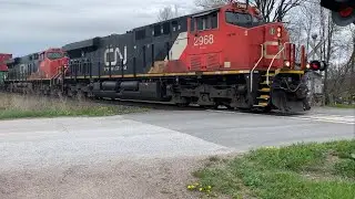 CN 2968, CN 2873 & CN 2979 passing through Udney, ON