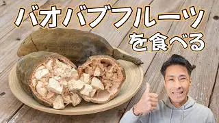 アフリカのスーパーフード「バオバブ」を美味しく食べる衝撃レシピ！