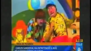 Vida Pizarrin