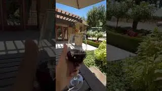 🍷 #wine #winery #lodi #california #winecountry #putdoors #outside #travel #vibesfortravel