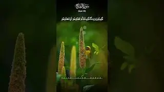 Surah Al-Fatah (Ayat-25)#quran#shorts#unfrezzmyaccount