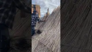 New thatch process 👌🏼 #thethatchingguy #thatch #2023 #youtubeshorts #shorts #new #viral #trending