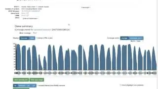 How to use population frequency data in variant interpretation process