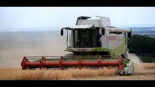 Harvest 2019 - Claas Lexion 770 & Claas Lexion 550 + V 750, 1050 + John Deere 8310
