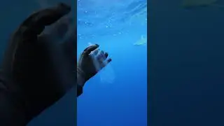 Unbelievable live #america #research #underwater #experiment #music #things