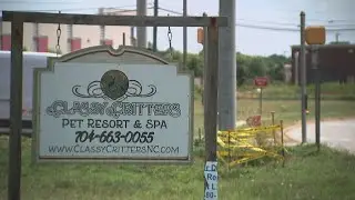 Investigation launched after video surfaces of groomer being aggressive toward dogs | WSOC-TV
