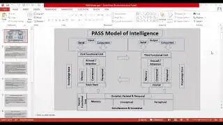 PASS Theory of Intelligence